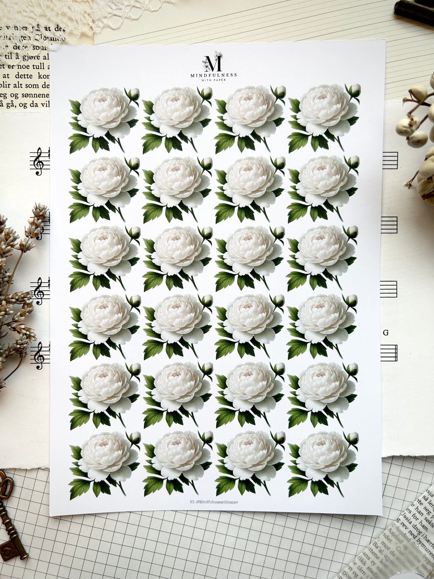 Hvit pion Clipart – A5 ark