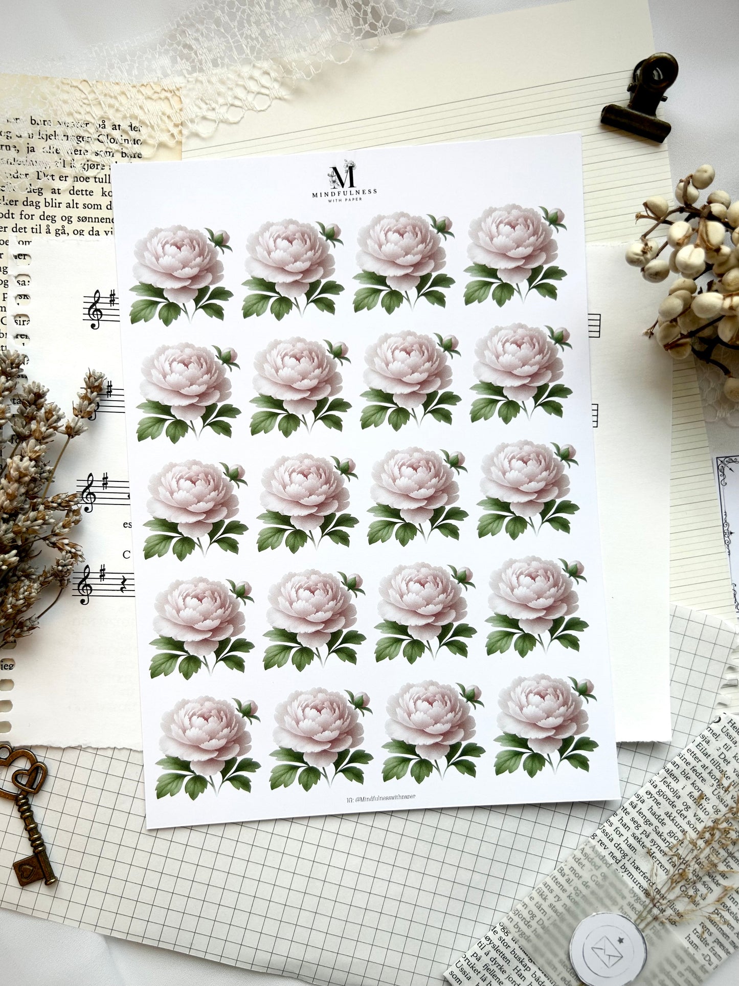 Rosa pion Clipart – A5 ark