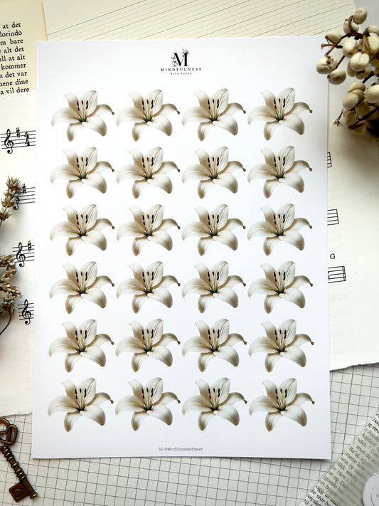 Lilje uten stilk Clipart – A5 ark