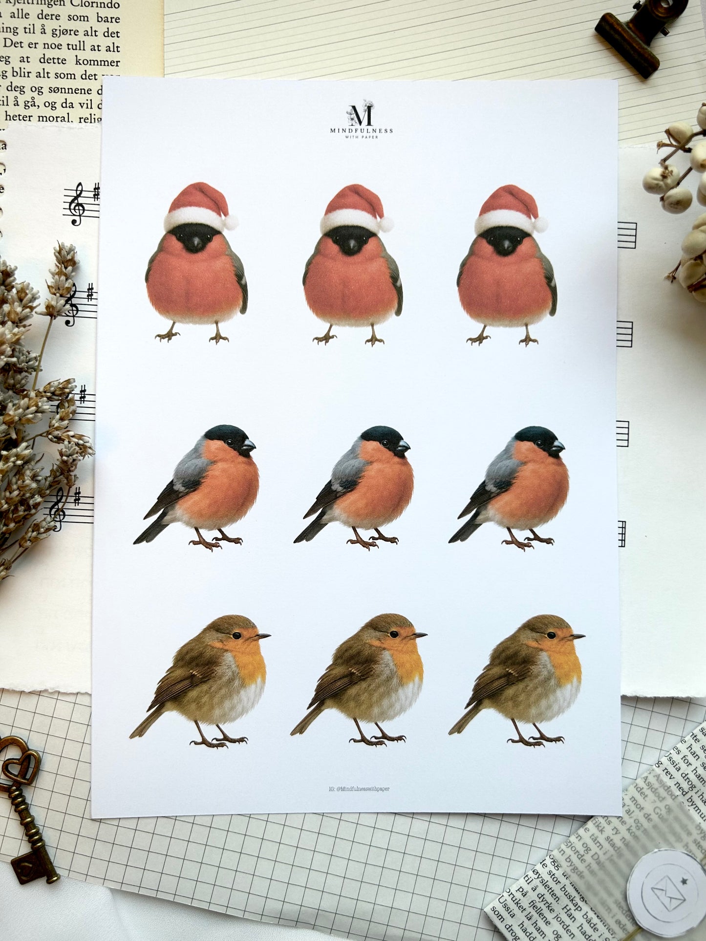 Fugler Clipart – A5 ark