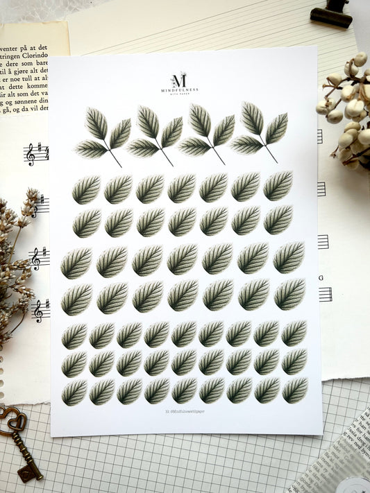 Blader Clipart – A5 ark